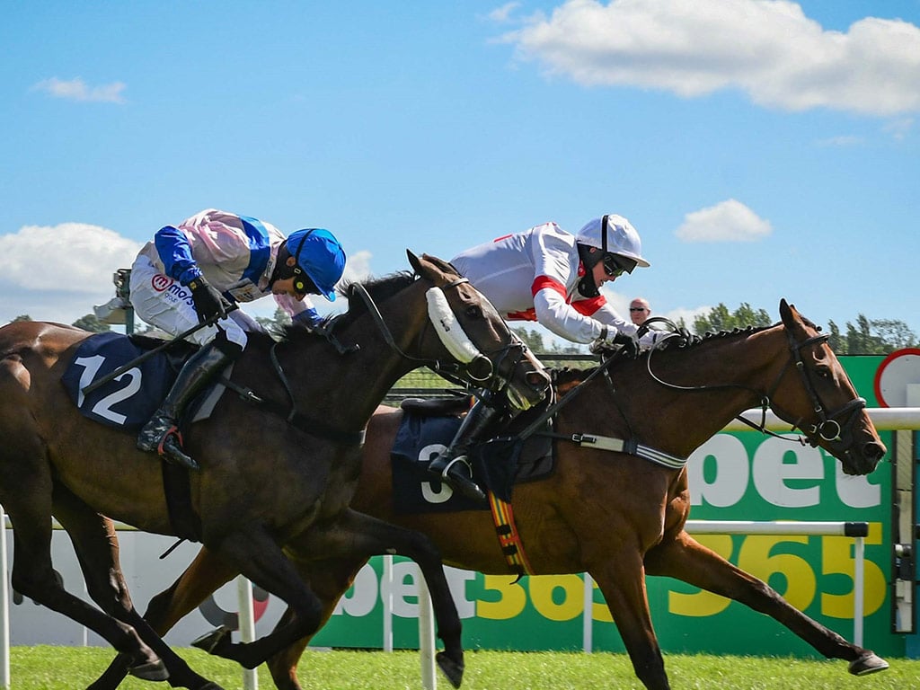 Two horses racing at Uttoxeter racecourse
