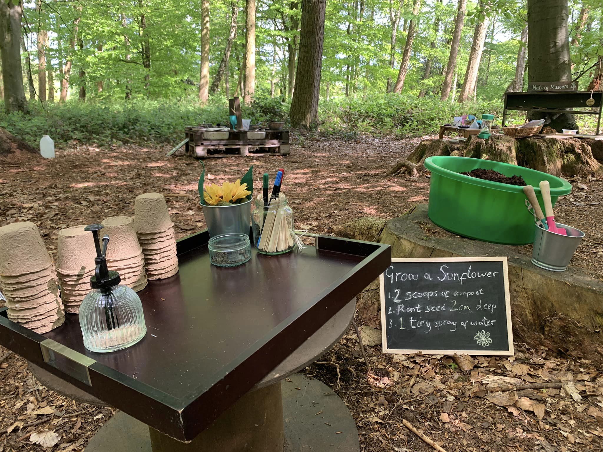 Little Trees Woodland Playgroup
