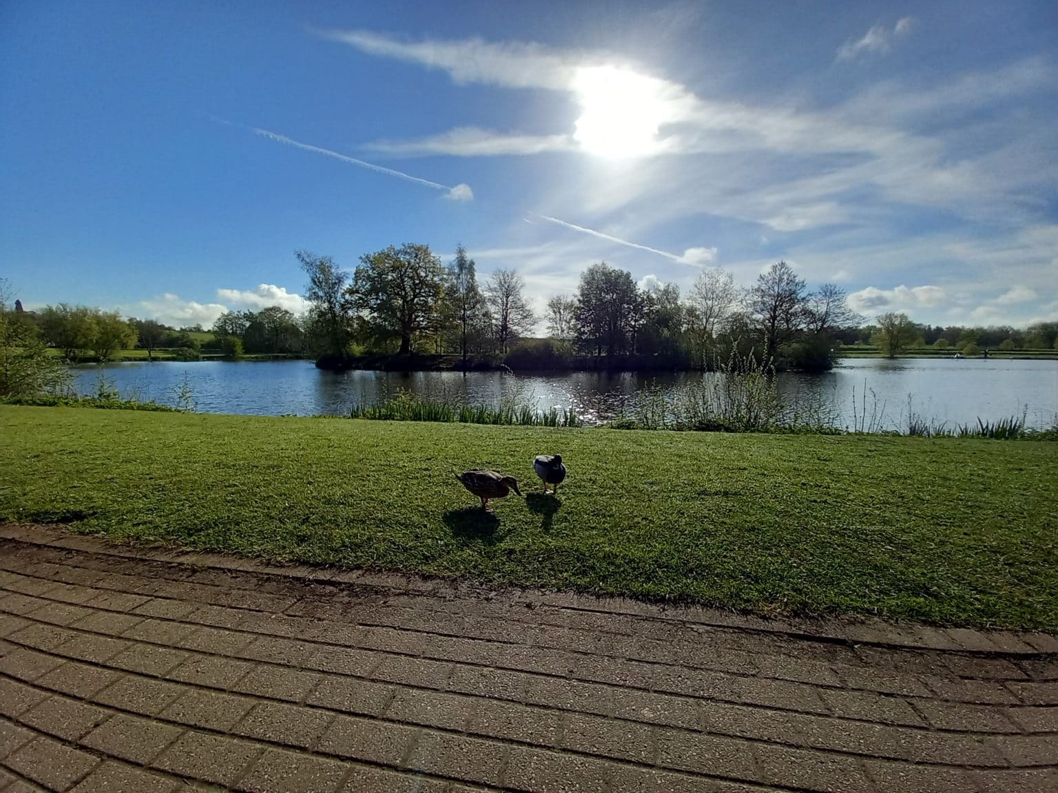 JCB Lakeside Walk – DISCOVER EAST STAFFORDSHIRE