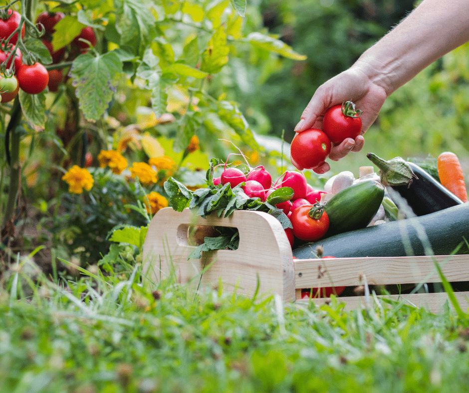 Permaculture with Earthed Up!